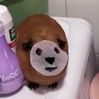 Room wanted in Fort Lauderdale, FL Main Photo