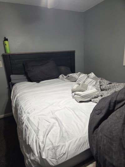 Pinellas Park room for rent Main Photo