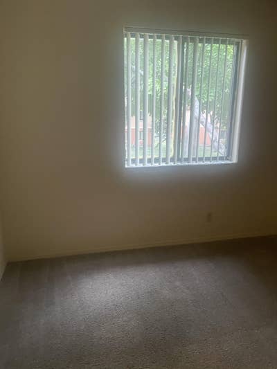 Drug Free, Christian Male Seeks Same Main Photo