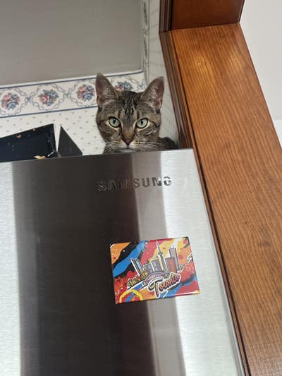 Room wanted in New York Main Photo