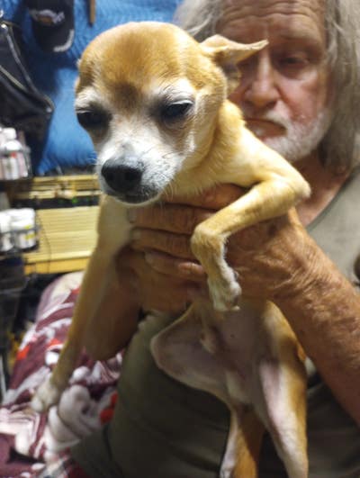 Room wanted in Richardson, TX Main Photo