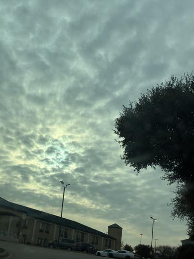 Room wanted in Fort Worth Main Photo