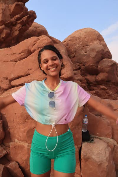 Room wanted in Chicago Main Photo