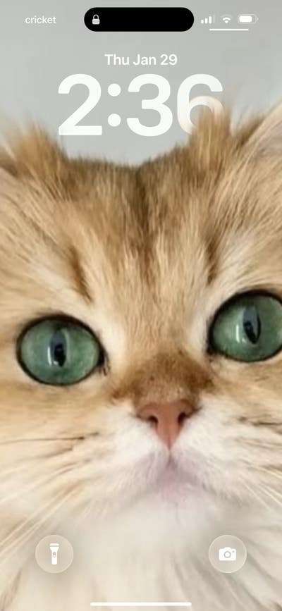 Room wanted in Houston Main Photo