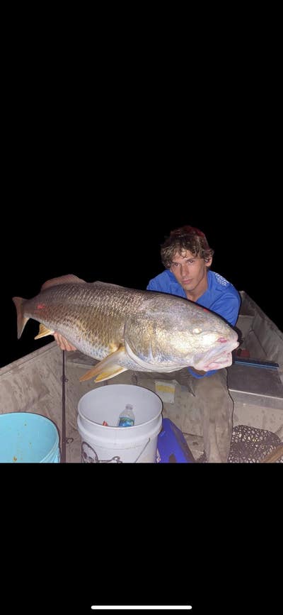 Room wanted in Fort Lauderdale Main Photo