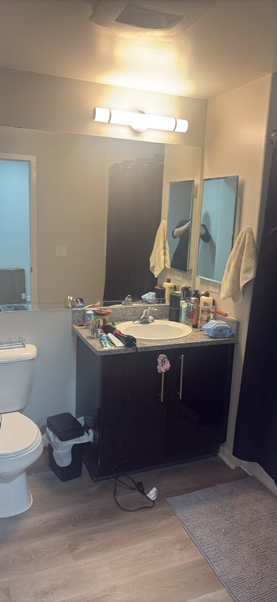 Roommate Wanted in DT Apartment Main Photo