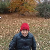 Room wanted in NYC Main Photo