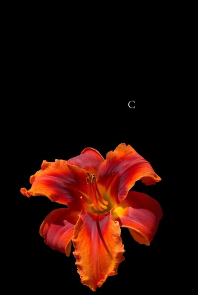 Room wanted in The Woodlands, TX Main Photo