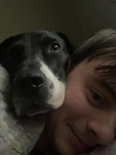 Room wanted in NYC Main Photo