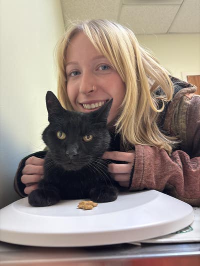 Room wanted in Baltimore Main Photo