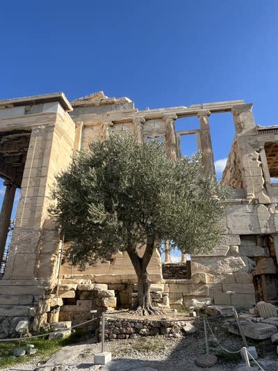 Room wanted in NYC Main Photo