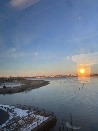 Room wanted in Boston Main Photo