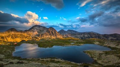 Room wanted in NYC Main Photo