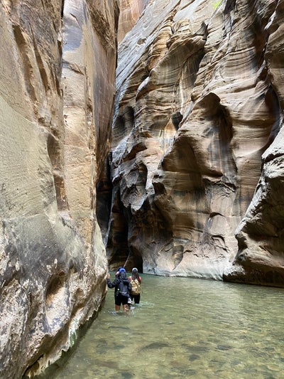 Female, 33, $1300, Move Soon, Ages 26 to 45 Main Photo