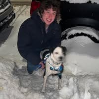 Seeking 3rd roomate!  Main Photo