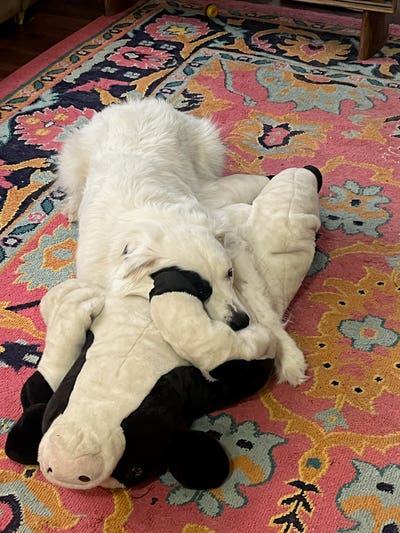 Hello, my name is D! I am looking for a fello... Main Photo