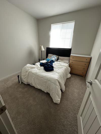 Room available ASAP Main Photo