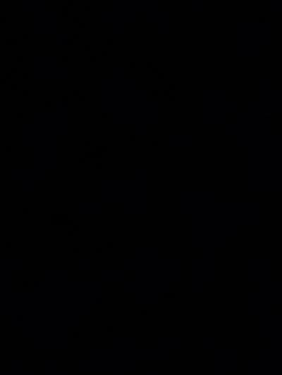 Room wanted in New York Main Photo