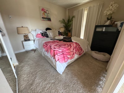 Room to share in Park Newport Appartments Main Photo