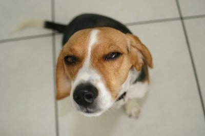 Room wanted in New York Main Photo