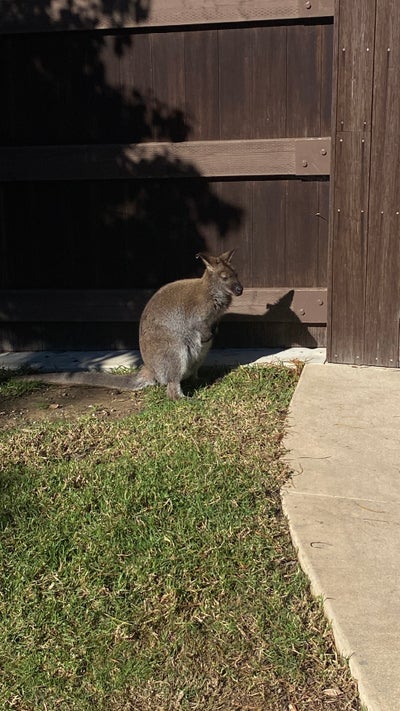 21F needs room March 1 for 850 with women 18 30 Main Photo