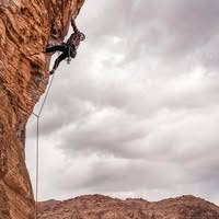 Room wanted in Phoenix, AZ Main Photo