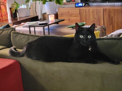 Quiet Peaceful  Main Photo