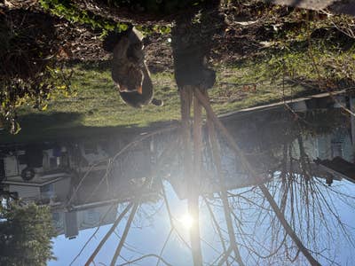 Room wanted in New York Main Photo