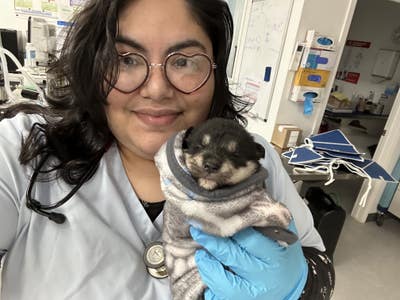 Room wanted in Bronx, NY Main Photo