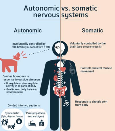 Room wanted in New York Main Photo