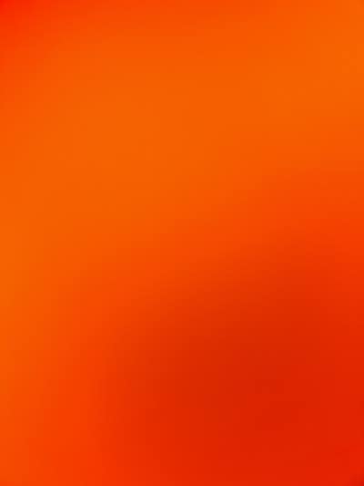 Room wanted in New York Main Photo