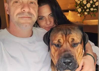 We are 2 young empty nesters, aged 44 and 47.... Main Photo