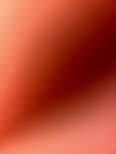 Room wanted in San Jose  Main Photo