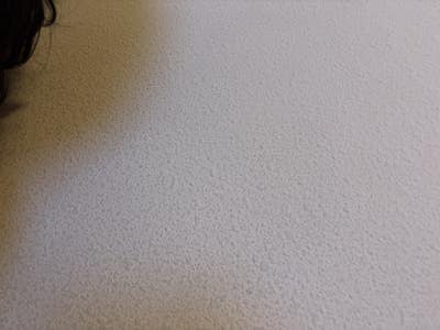 Room wanted in Georgetown, TX Main Photo