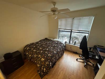 Room with postdoc research professional and cats Main Photo