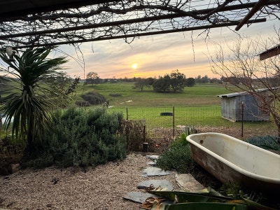 Cozy farm stay offering peaceful country views and Main Photo