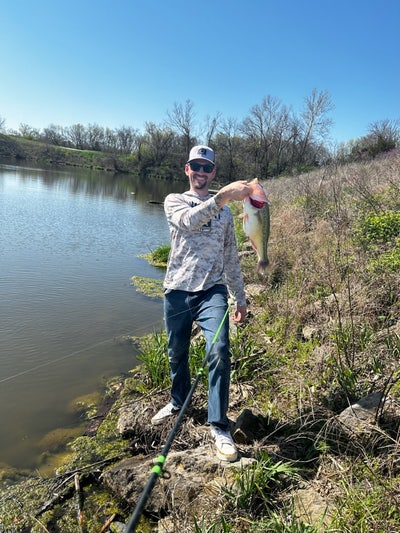 Room wanted in Las Vegas, NV Main Photo