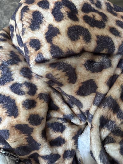 Room wanted in Troy, NY Main Photo