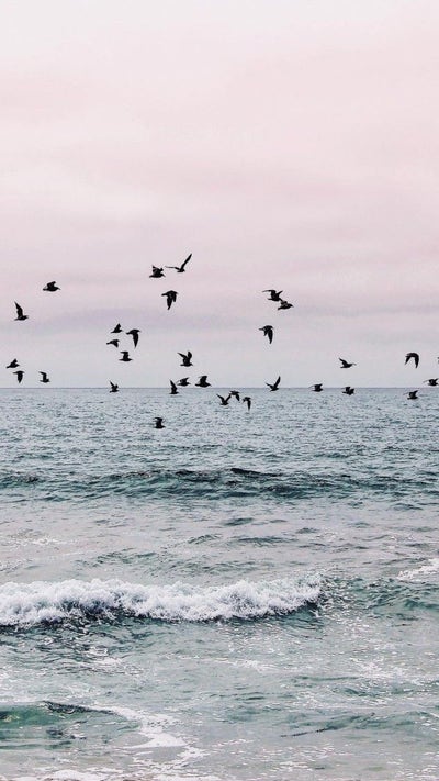 Room wanted in New York Main Photo