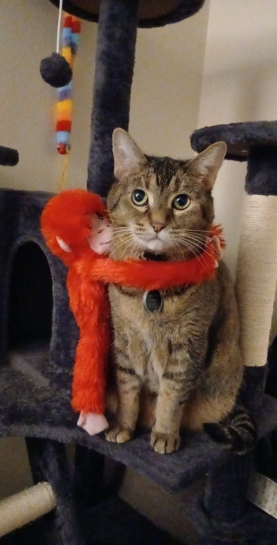 Reliable tenant looking for Santa Clarita room Main Photo