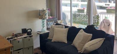 Roomate wanted - Oceanside Apartment  Main Photo