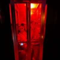 Room wanted in New York Main Photo