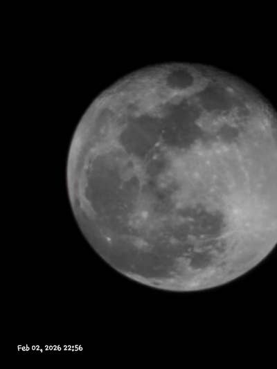 Room wanted in Tacoma, WA Main Photo