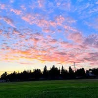 Room wanted in Torrance, Los Angeles, CA Main Photo