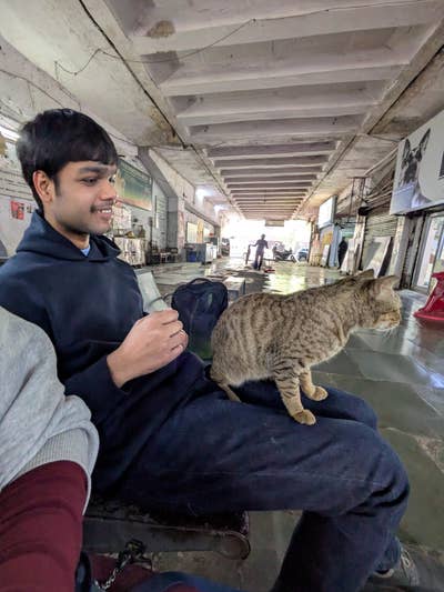 Room wanted in New York Main Photo