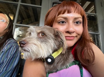 Room wanted in NYC Main Photo