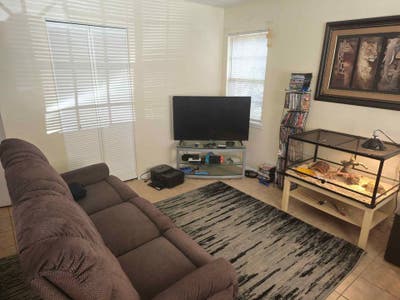 Room for Rent Main Photo