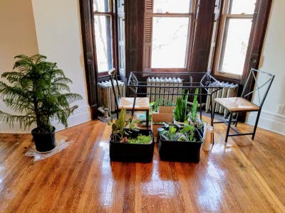 Room for Rent_ Decatur St | Bed_StuyBrooklyn Main Photo