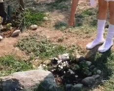 Room wanted in Doral, FL Main Photo