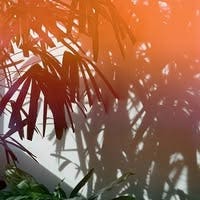 36 year old male needs Silverlake room now Main Photo